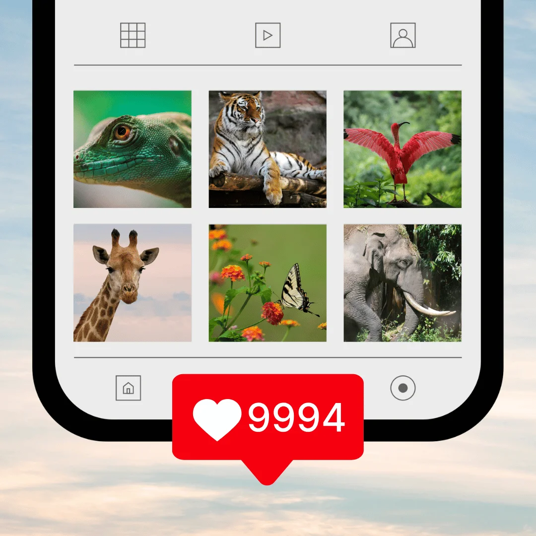 Wildlife captions for Instagram thumbnail