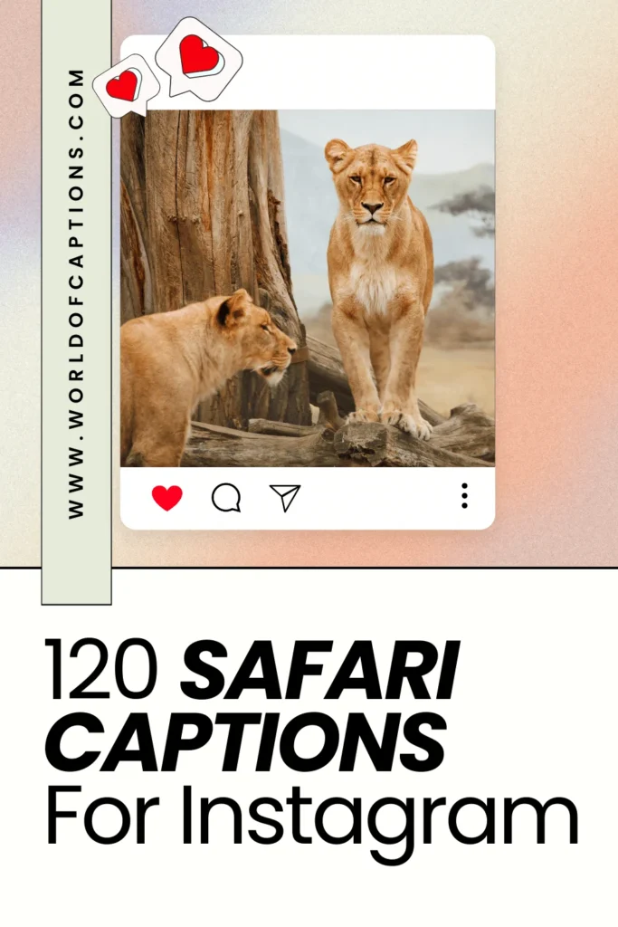 safari captions for Instagram